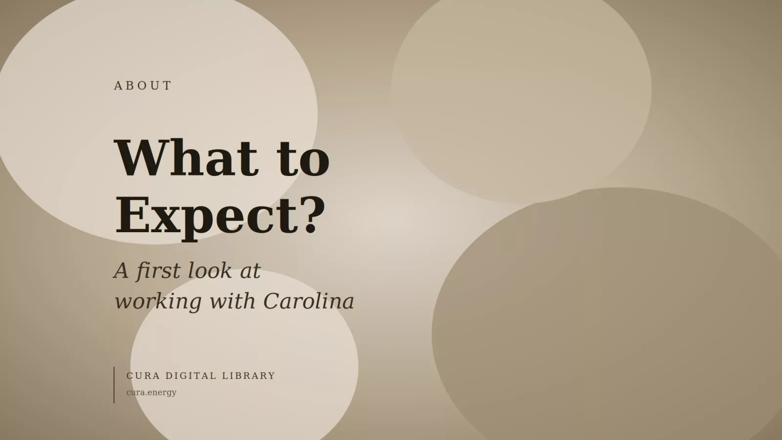 What to Expect?