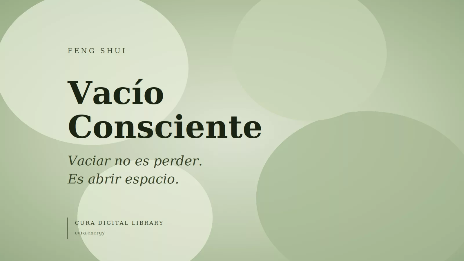 Vacío Consciente — Edición Breve