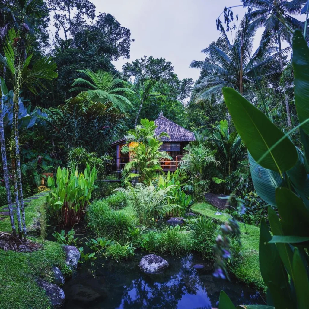 bali_04