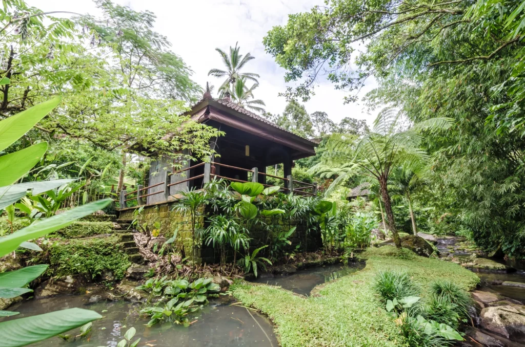 bali_11