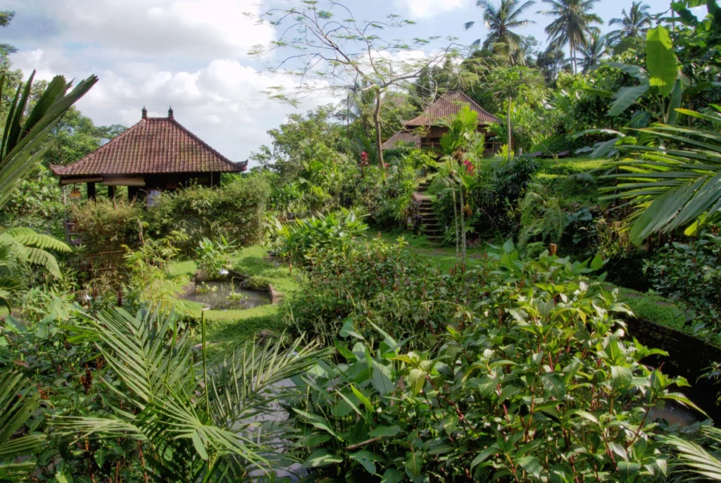 bali_22
