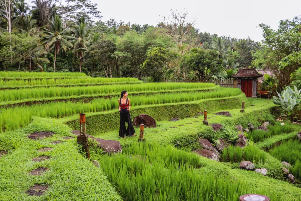 bali_30
